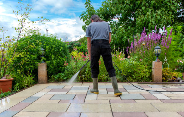 Best Driveway Pressure Washing  in Amador Pines, CA